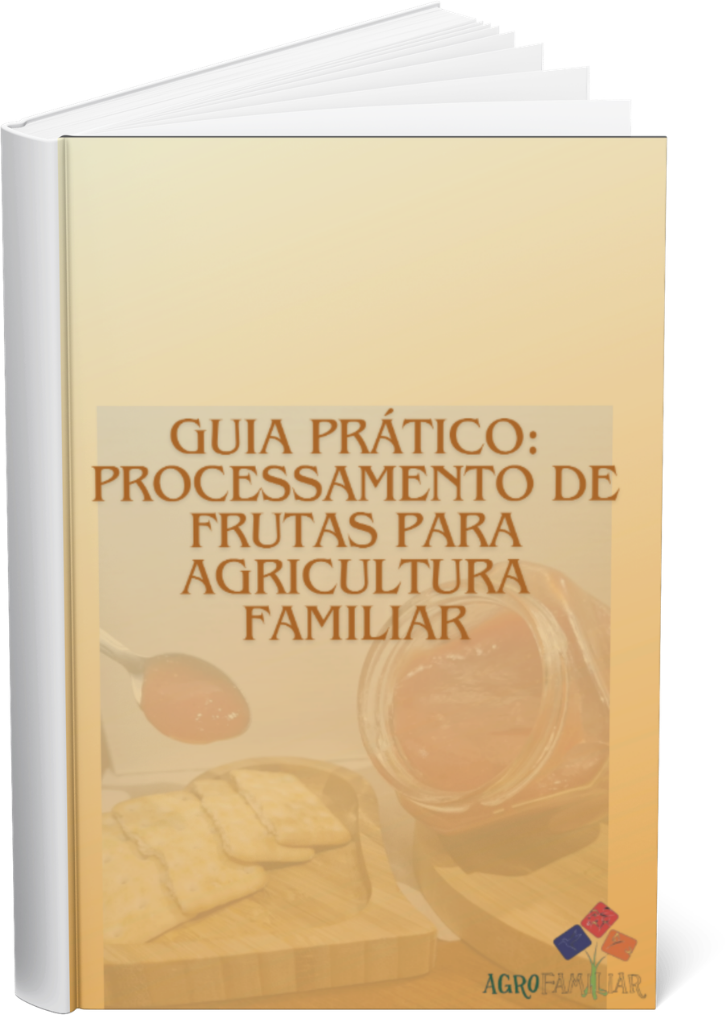 imagem da capa