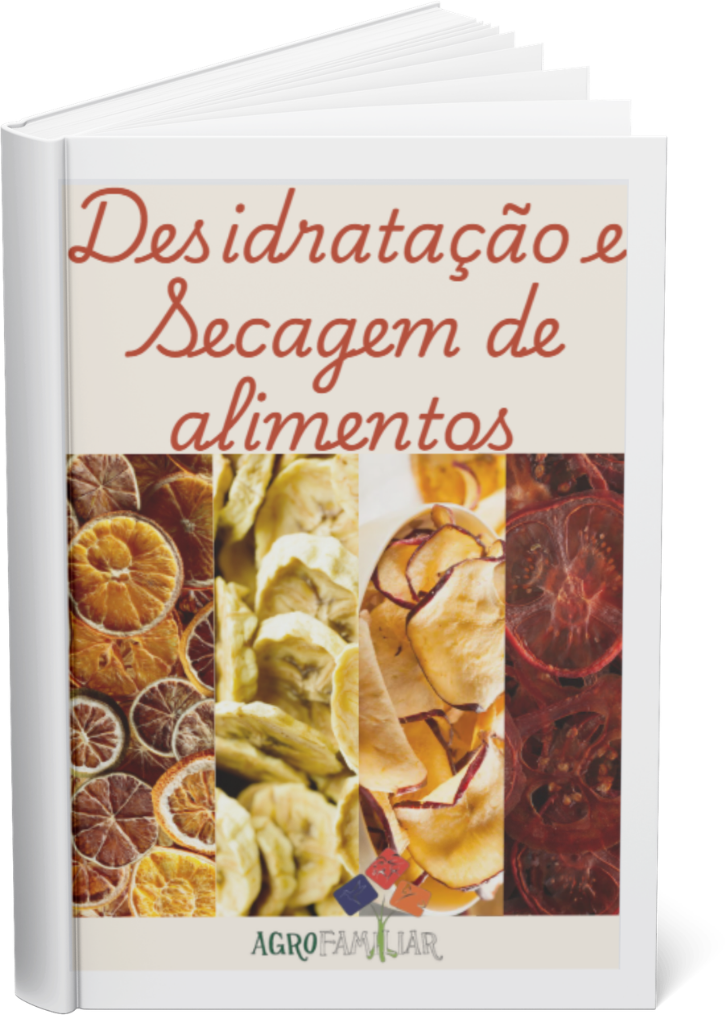 imagem da capa