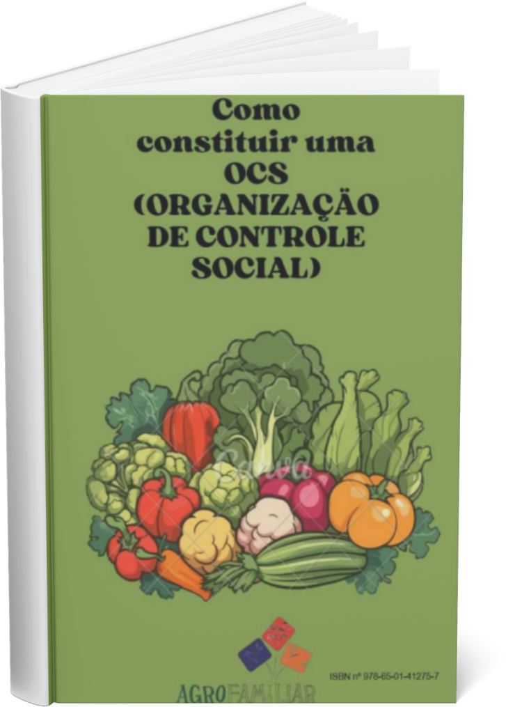 imagem da capa