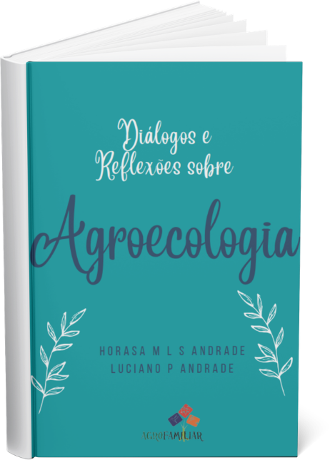 imagem da capa